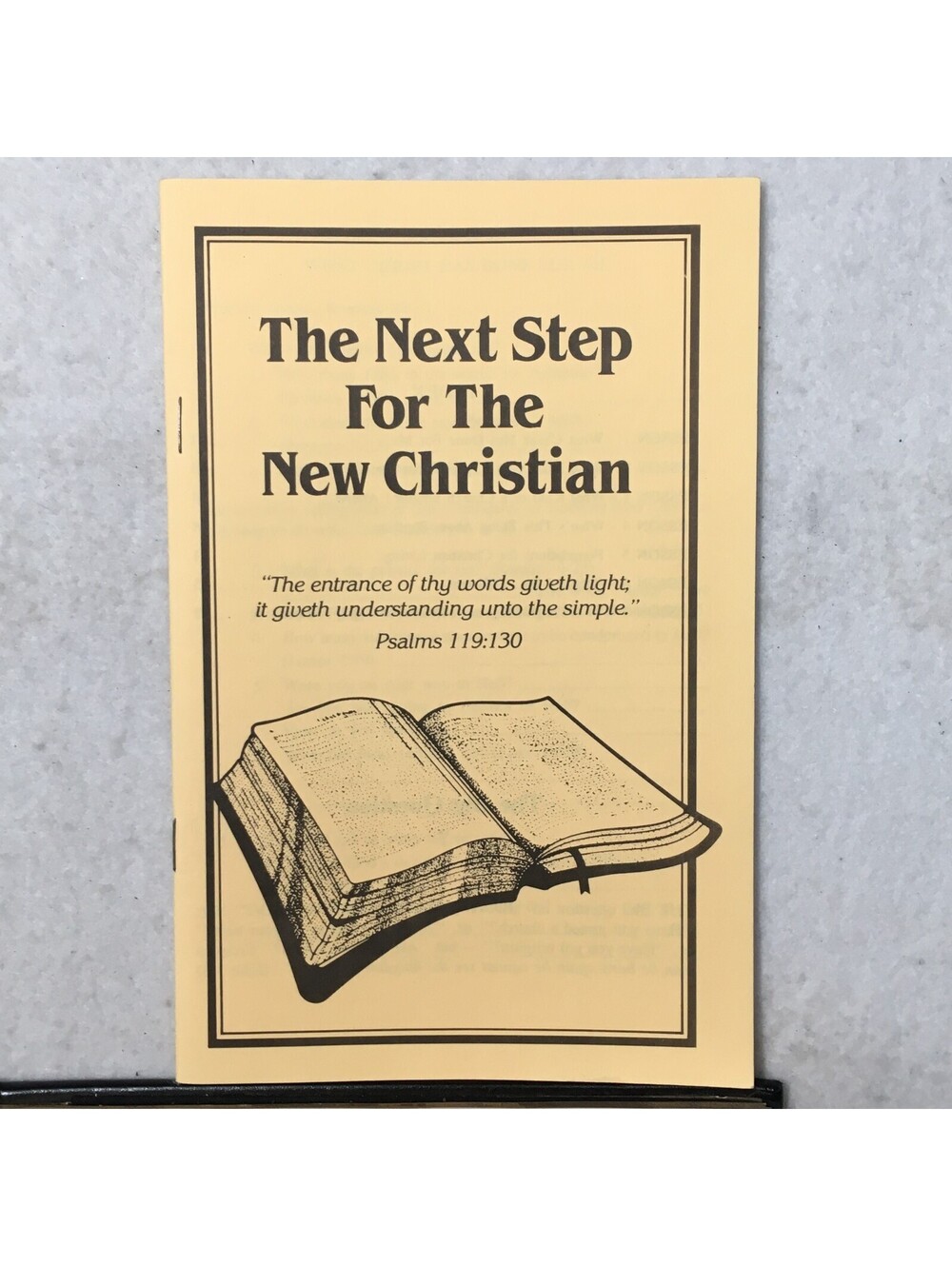Bible Believer God NEW CHRISTIAN NEXT STEP BIBLE STUDY